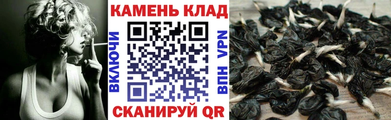 ГАШ Ice-O-Lator  Купить  Вяземский 