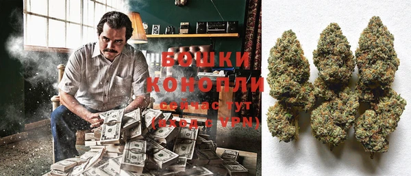 2c-b Вяземский