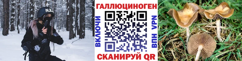 Галлюциногенные грибы ЛСД  Купить где  Вяземский 